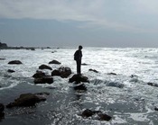 Point Loma tidepools