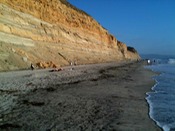 Torrey Pines State Beach San Diego